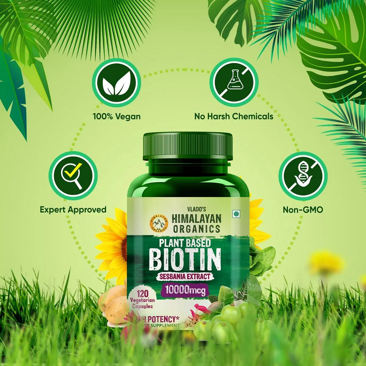 Himalayan Organics Plant-Based Biotin 10000mcg capsules for hair regrowth, showing 100% Vegan and Non-GMO claims.